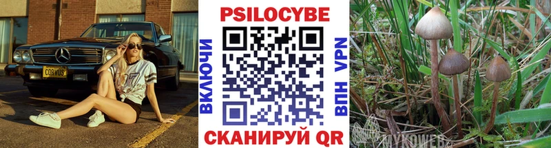 Псилоцибиновые грибы MAGIC MUSHROOMS  Тетюши 